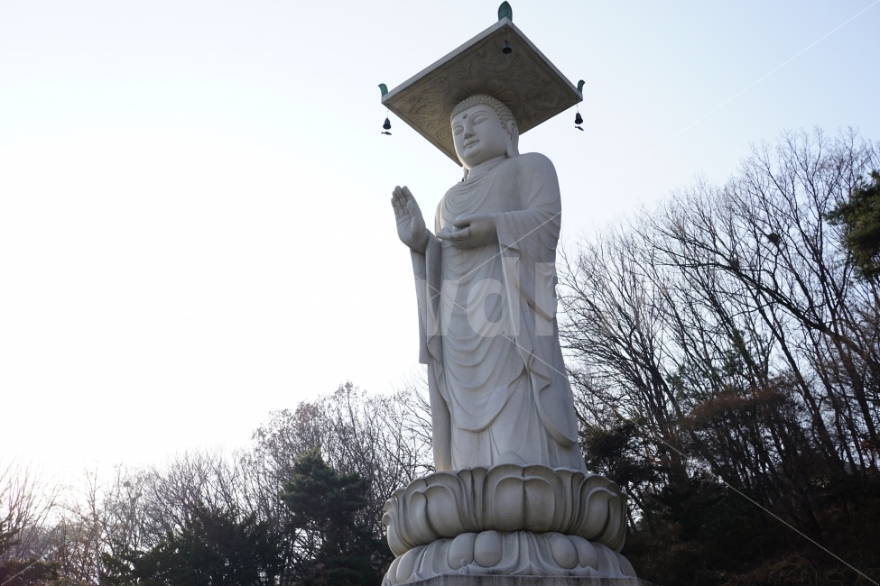절,불교,사찰,불상,부처님,종교,석가모니,석상,한국,전통,문화,문화재,역사,나무,하늘,석조,신앙,부처,소망,소원,temple,Buddhism,buddha,고타마싯다르타,korea,한국적인,한국적,한국문화,유적,유적지,한국전통,감성사진,감성,힐링,힐링사진,스냅,스냅사진,스넵사진,스넵,snap,사물,물건,오브젝트,object,컨셉,콘셉,concept,animal,조각,예술,믿음,기도,조각상,동상,석상,조형물,statue,bronze statue,stone statue,한국전통,한국문화,korean traditional,korean culture,종교,신앙,religion,belief,faith