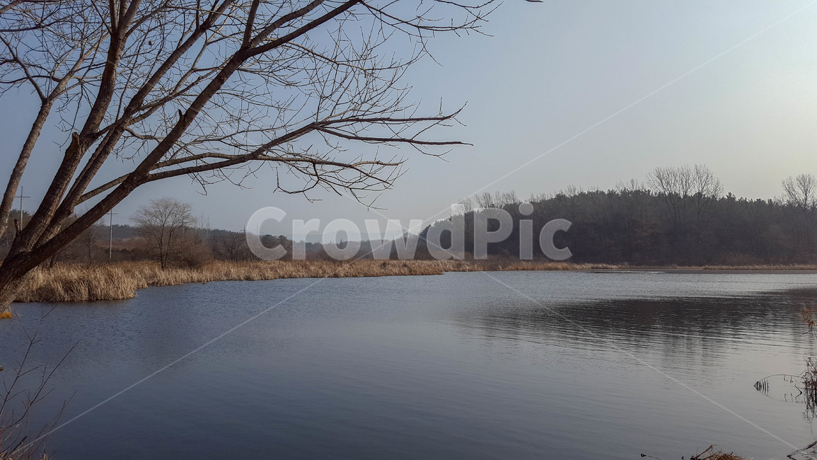 저수지,나무,풀,산,하늘,자연,풍경,nature,landscape,water,물,outdoors,옥외
