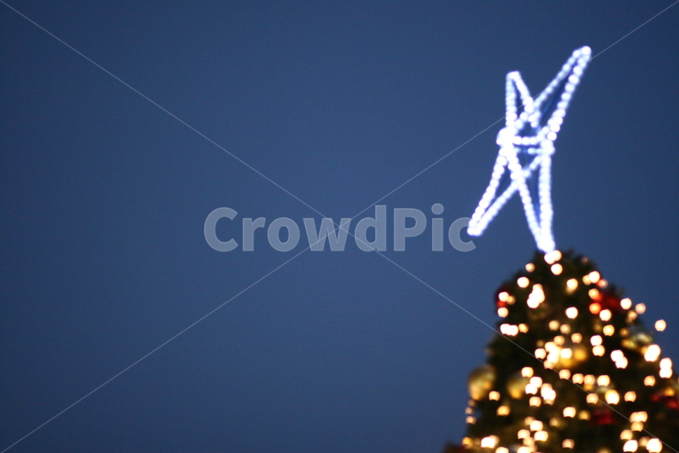 크리스마스,크리스마스트리,christmas,christmastree,장식,보케,야경,겨울,계절,winter,season,기념일,축하,anniversary,congratulation,celebrate,celebration,메리크리스마스,성탄절,merry christmas