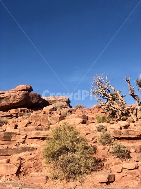 자연,nature,desert,사막,서부,미국서부,nevada,네바다