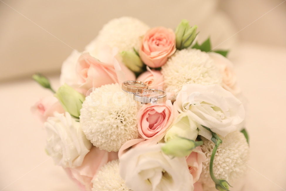 flower,flowerbouquet,부케,신부부케,꽃,웨딩,웨딩부케,신부,식물,꽃부케,결혼,혼례,웨딩,wedding,marriage,marry,기념일,축하,anniversary,congratulation,celebrate,celebration