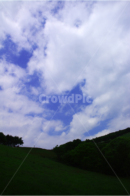 초원,목장,하늘,구름,풍경,풍광,자연,nature,landscape,자연,풍경,nature,landscape,outdoors,옥외