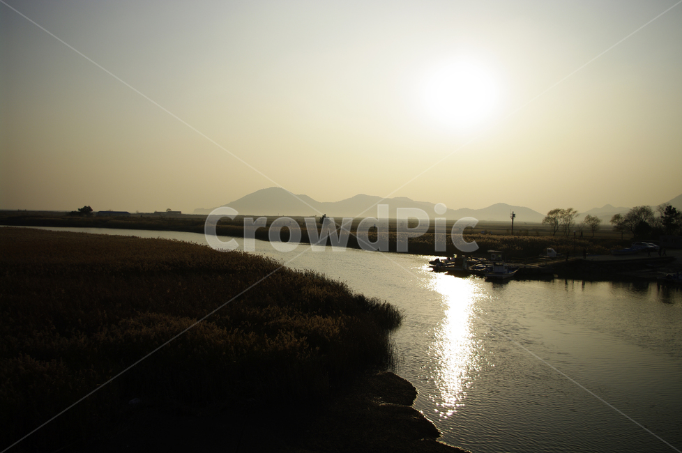 노을,풍경,강,하늘,갈대밭,자연,풍경,nature,landscape,light,빛,flare,플레어,outdoors,옥외