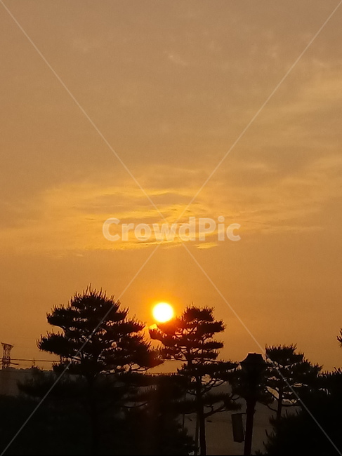 일출,해,태양,햇빛,sunrise,해돋이