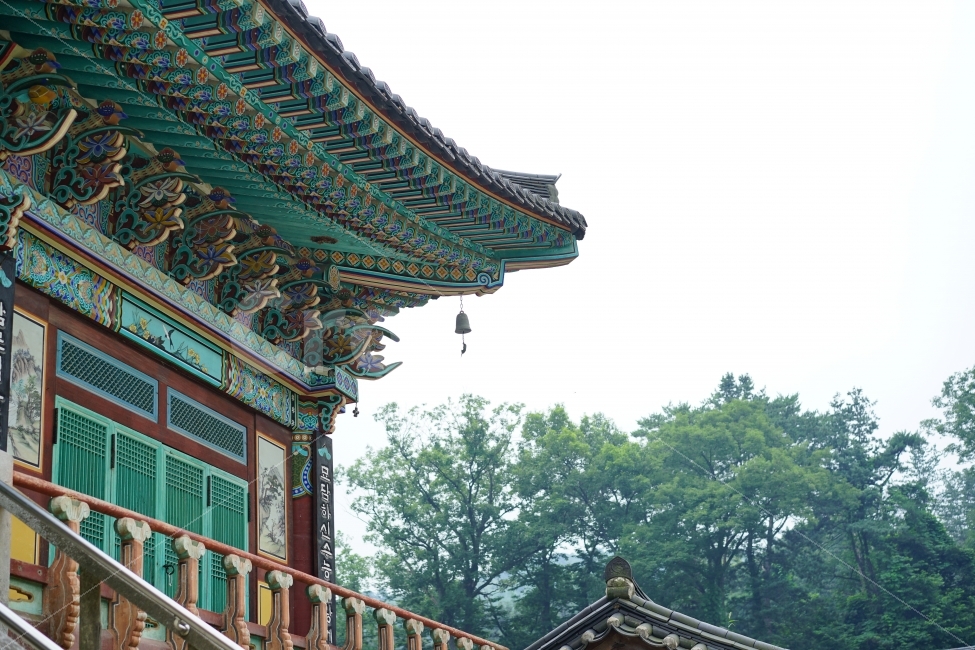 불교,사찰,종교,절,산책,평화,자비,마음,의지,믿음,신뢰,평온,자연,역사,건축물,건물외관,exterior,building,structure,architecture,construction,한국전통,한국문화,korean traditional,korean culture,종교,신앙,religion,belief,faith