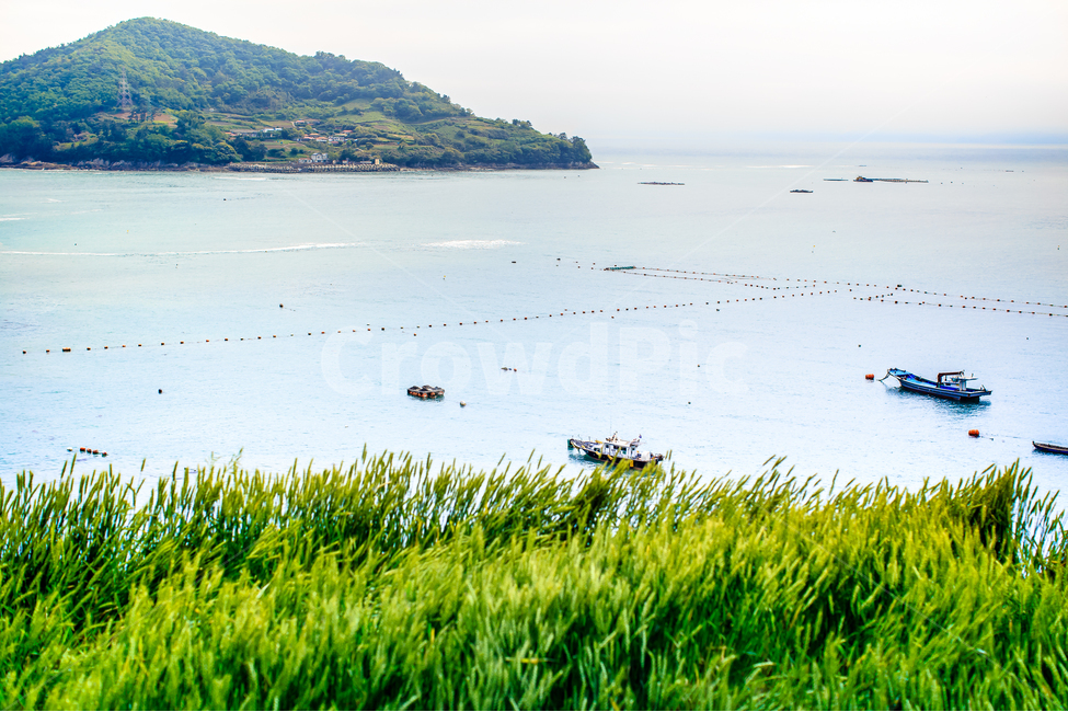 초여름,밭,농부,바다,여유,시골,섬,자연,풍경,nature,landscape,한국자연풍경,한국자연경관,korea nature landscape,산업,industry,industrial,어업,fishery,fishing industry,outdoors,옥외,land,땅,water,물,plant,식물,grass,잔디