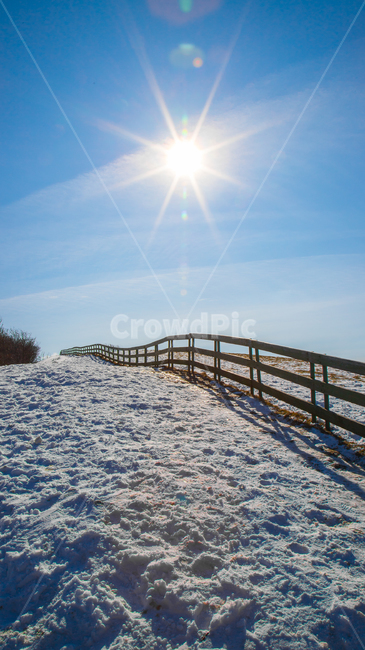 handrail,banister,난간,눈,snow,겨울,목장,태양,sun,풍경,겨울,계절,winter,season