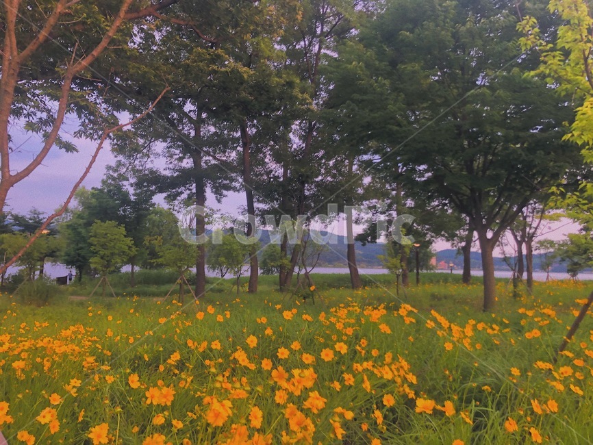 풍경,자연,산책,길,힐링,식물,하늘