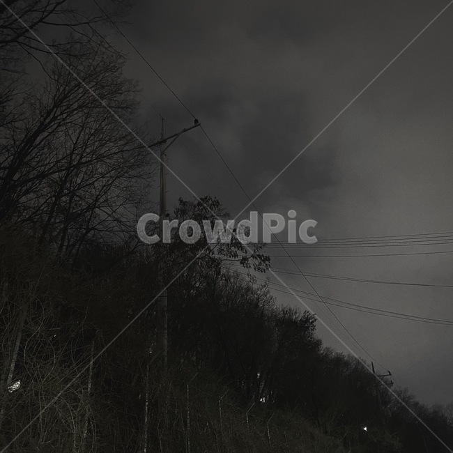 cable,케이블,powerlines,전력선,electrictransmissiontower,black,밤,night