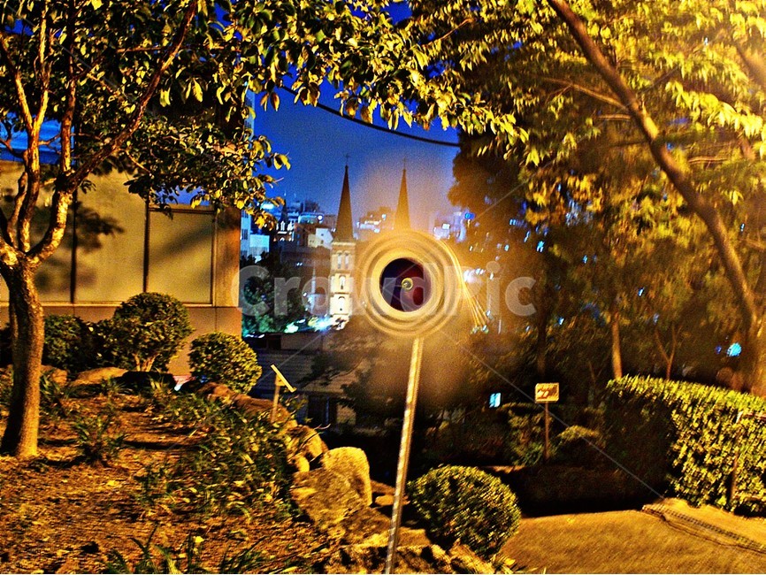 바람개비,바람,밤,밤풍경,풍경,나뭇잎,초록,어두움,어둠