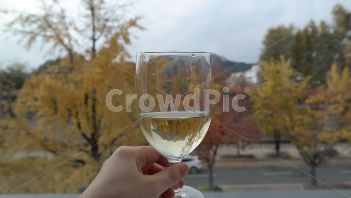 와인잔,단풍,가을,유리컵,fallfoliage,autumncolors,colorful,vin,glass,fall,autumn,풍경,자연,반영,reflection,landscape,nature,술,주류,alcohol
