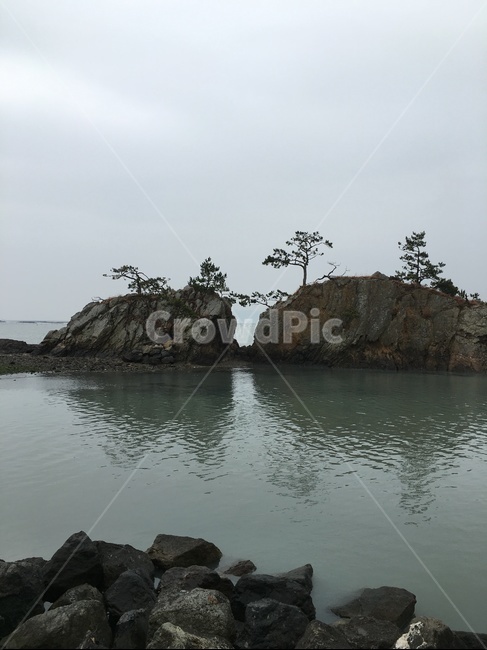 land,땅,outdoors,옥외,nature,자연,ocean,대양,sea,바다,water,물,shoreline,해안선,coast,연안,자연,풍경,nature,landscape