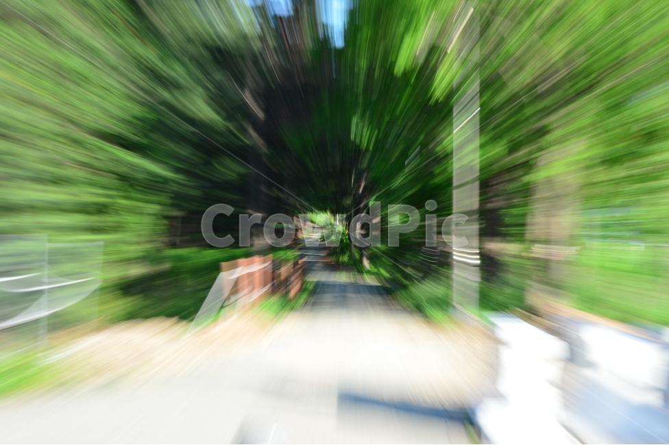 주밍샷,줌인,속도,사진기술,블러,나무,속도감,다이나믹,동적,녹색,흰색,speed,technique,blur,tree,dynamic,green,white,zoomingshot,zoomin,연출,컨셉,콘셉,direction,concept