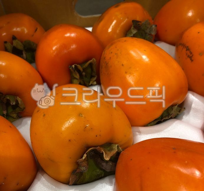persimmon, 감, food, 음식, fruit, 사진,이미지,일러스트,캘리그라피 - Koopa작가