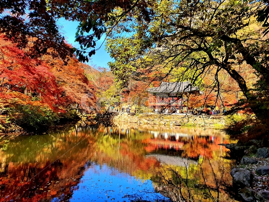 자연,나무,plant,가을,단풍,백암사,백양산,호수,단풍놀이,가을하늘,가을,계절,fall,autumn,season,nature,outdoors,옥외,land,땅,water,물,tree,식물