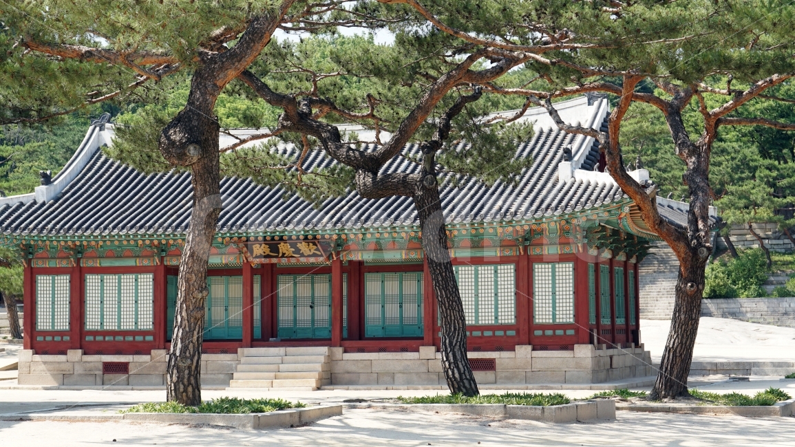 창경궁,한옥,지붕,기와,나무,미술,전통,처마,조선,역사,한국,문화,한국문화,한국전통,건물,건축,문화재,유적,유적지,왕궁,궁궐,korea,history,히스토리,조선시대,조선왕조,풍경,landscape,자연,전각,kingdom,한국자연,코리아,랜드마크,landmark,tourist attraction,한국전통,한국문화,korean traditional,korean culture