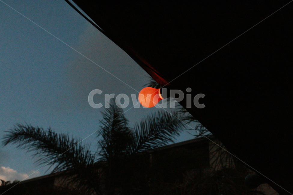 열대야,전구,자연,여름,야자수,nature,outdoors,옥외,야외,light,orange,오렌지,주황색,감성
