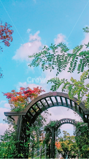 outdoors,garden,정원,정자,arbour,정자마루,식물,가든,그린,파란하늘,단풍,봄,꽃,꽃길,풍경,컬러,색감,느낌,각도,정원나무,나무정원,구름,하늘,야외,옥외