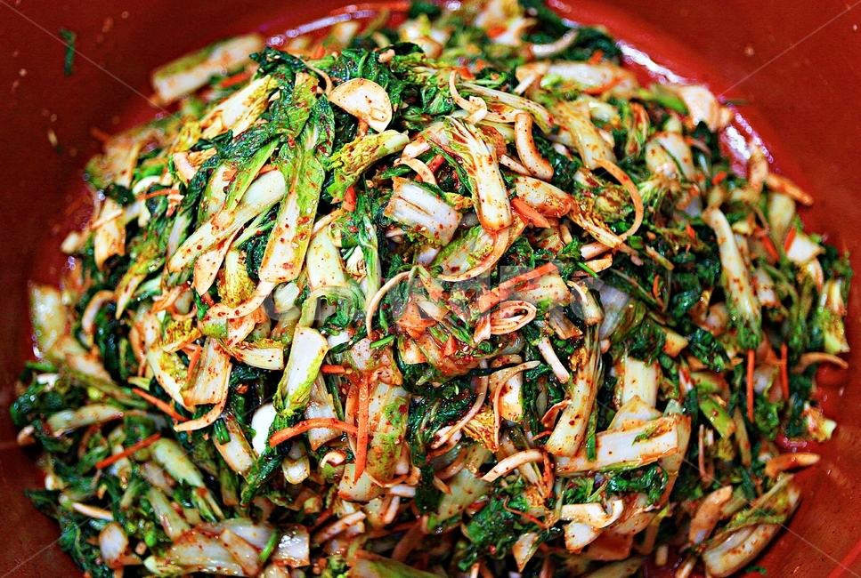 얼갈이김치,김치,먹거리,음식,한식,요리,음식,식재료,요리,food,cook,meal,dishes,food reserves,채소,야채,vegetables,한식,한국음식,한국요리,korean food,korean dishes,korean meal,korean cook