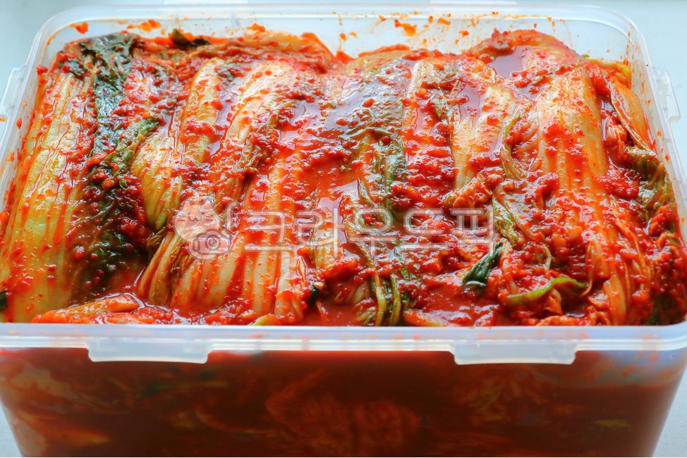 음식, 요리, 식사, 김치, 배추김치, 사진,이미지,일러스트,캘리그라피 - 일(sun)작가