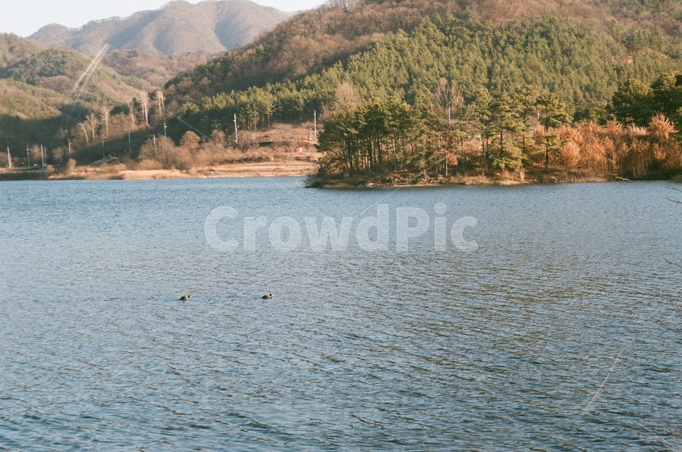 호수,겨울,자연,쓸쓸한,외로운,자연,풍경,nature,landscape,water,물,outdoors,옥외