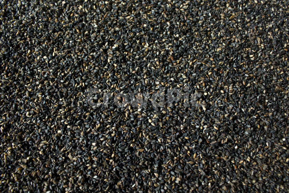 closeup,dry,dummy,food,grain,macro,meal,natural,nature,organic,plant,seed,seeds,sesame,sesameseed,sesameseeds,top,topangle,topview,yellow,깨,참깨,곡식,곡류,음식,음식재료,식재료,식물,씨앗,씨,말린,말리는,건조,자연,클로즈업,탑앵글,탑뷰,깨소금,농작물,농촌,농사,검정,블랙,검은색,black,검은깨,음식,식재료,요리,food,cook,meal,dishes,food reserves,곡류,곡식,cereals
