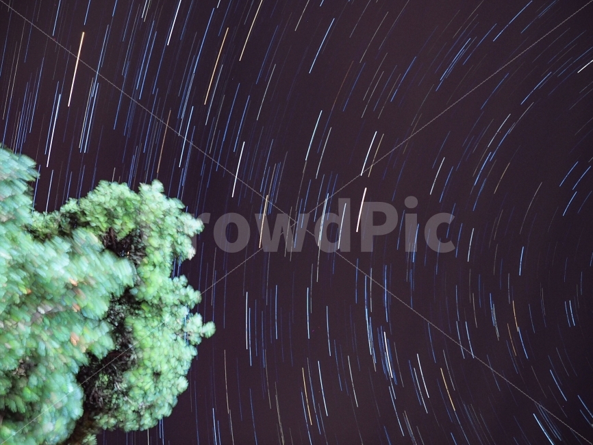 밤,밤하늘,별,별궤적,나무,소나무,자연,풍경,nature,landscape,야경,밤,nightscape,night,outdoors,옥외