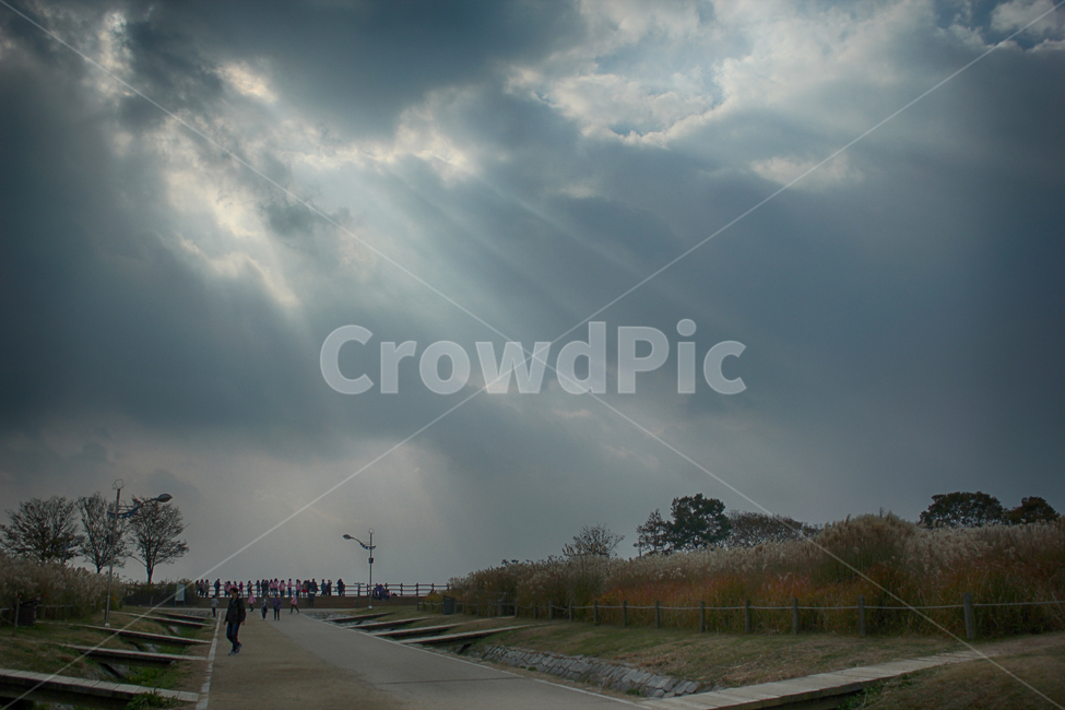 길,빛,빛내림,하늘,road,sunshine,sky,하늘공원,자연,풍경,nature,landscape,outdoors,옥외,weather,날씨