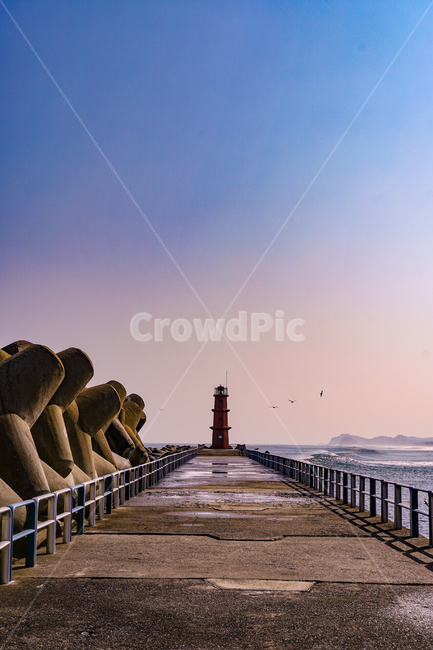 등대,방파제,바다,갈매기,새,맑은하늘,아련함,따뜻함,느낌있는,sea,birld,sky,warm,감성,감성적인