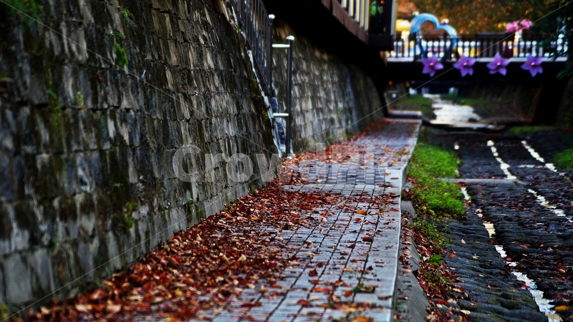 가을,가을풍경,여좌천,단풍,풍경,가을,계절,fall,autumn,season,path,통로