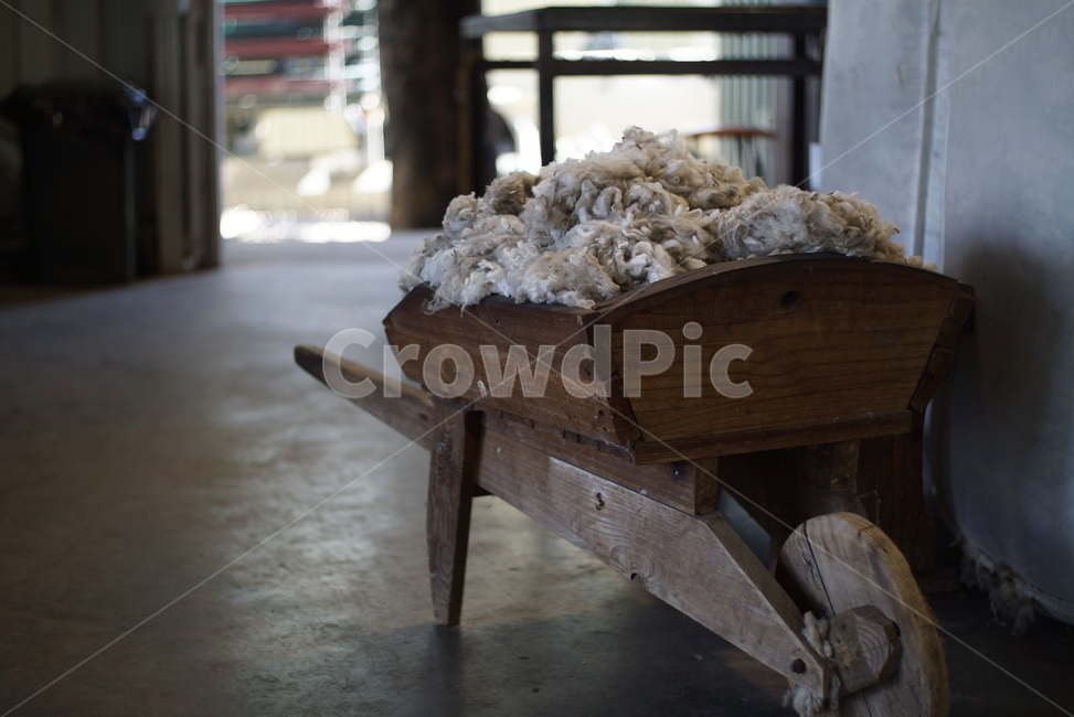 양털,wheel,바퀴,wool,수레,양모