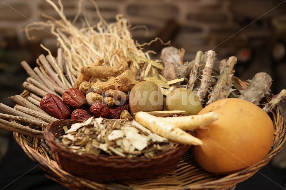 plant,식물,약초,대추,배,인삼,옻,약재,건강,한약