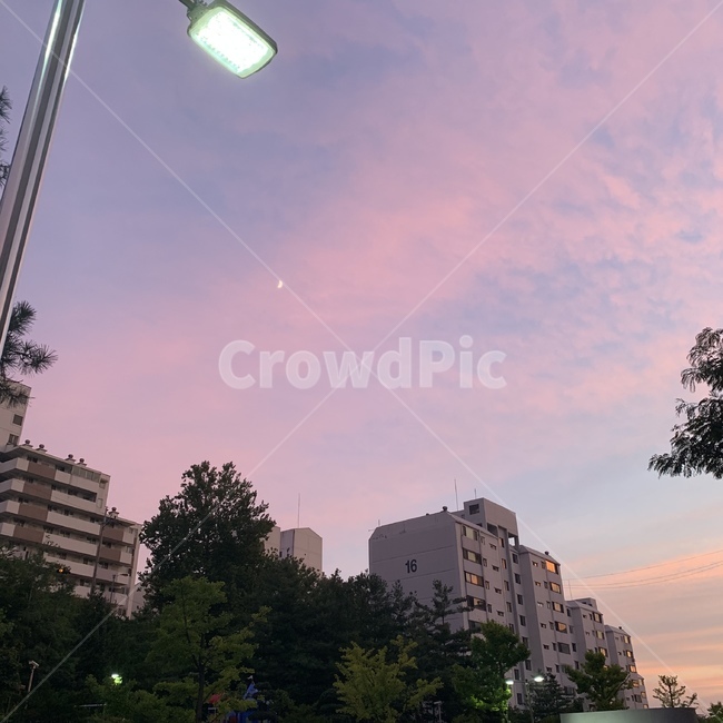 하늘,노을,저녁,편안함,핑크빛