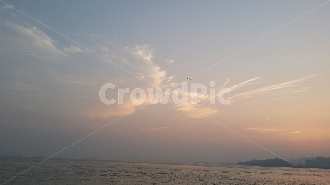 구름,기러기,비상하는구름,하늘,기러기날다,바다,수평선,섬,오후의하늘