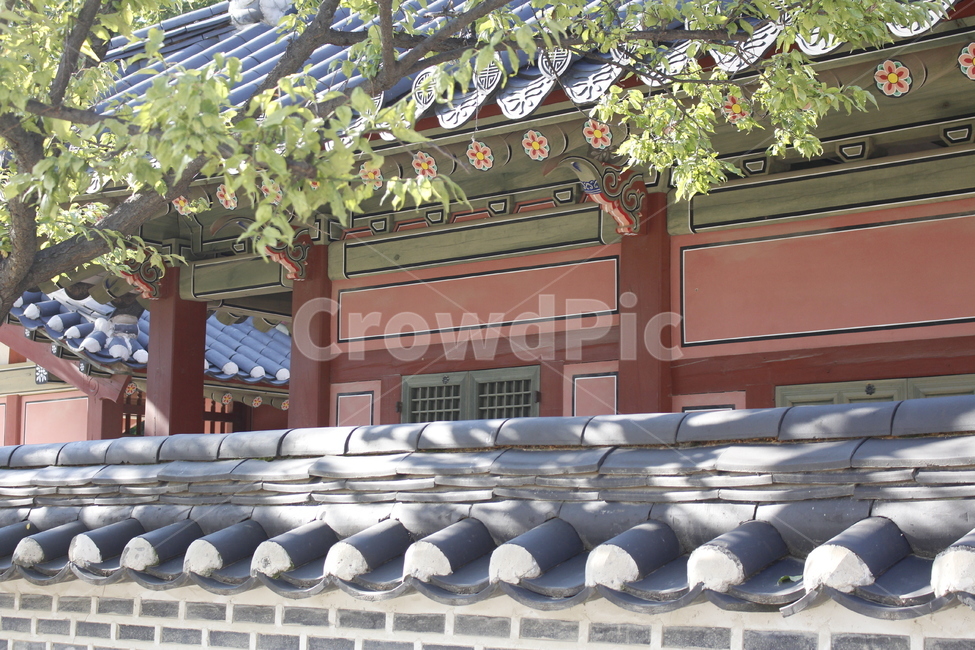 행궁,화성,궁,궁궐,한국,토속풍경,전통,한국전통,한국문화,korean traditional,korean culture