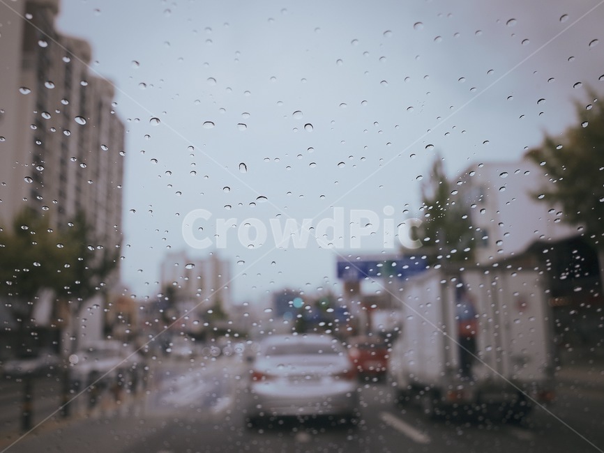 비,소나기,빗방울,건물,아파트,나무,차,자동차,트럭,비,비오는날,rain,rainy