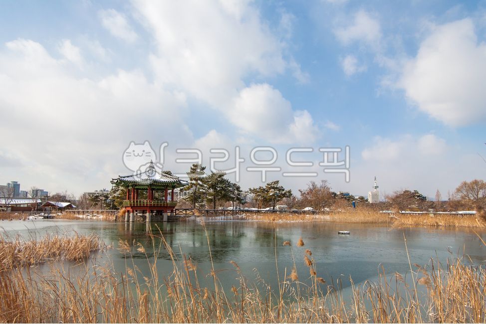대전,한밭수목원,연못,동원,둔산대공원,풍경,1월,산책로,정자,자연,경치,겨울풍경,눈,도심공원,nature,snow,winter,park,landscape