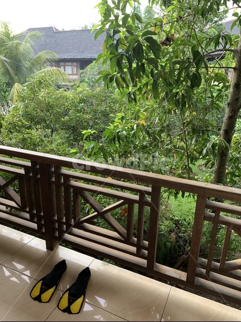 리조트,호텔,발리,야자수,오리발,여름,summer,resort