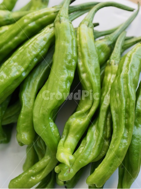 고추,녹색고추,꽈리고추,채소,음식,웰빙,녹색,음식재료,pepper,greenpepper,chilipepper,vegetable,food,wellbeing,green,foodingredients,sacredvegetable,채소,야채,vegetables