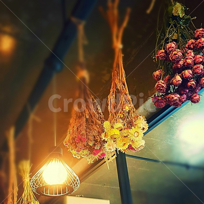 조명,꽃,인테리어,따뜻함,드라이플라워,감성,팬던트,light,flower,식물,자연,plants,nature,인테리어,실내디자인,interior design,감성,sensible,feeling,꽃,flower