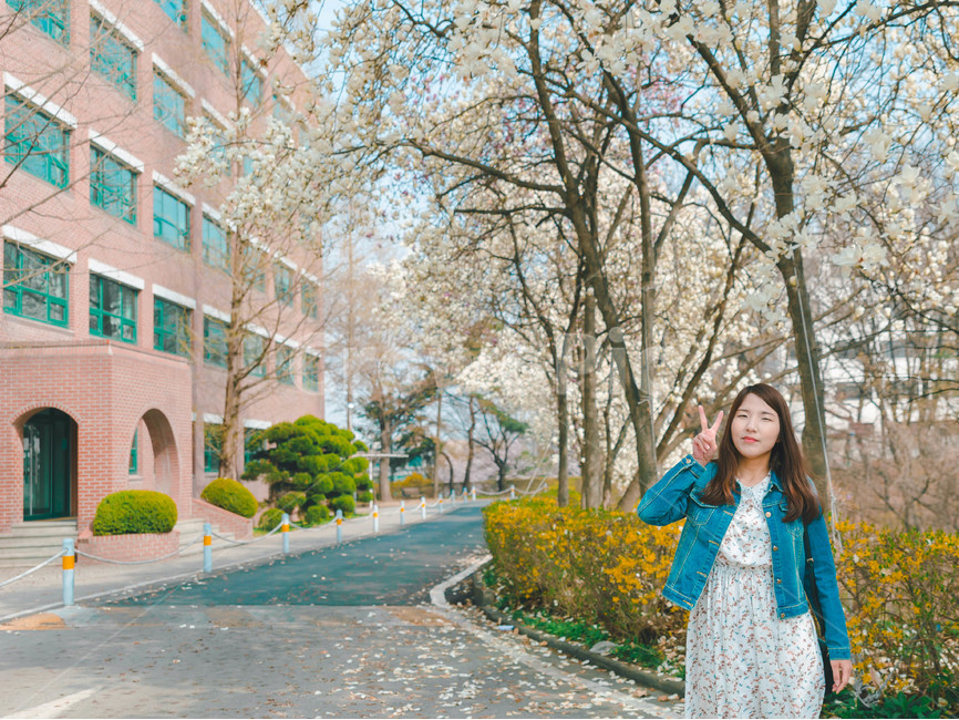 여자,벚꽃,flower,girl,woman,cheeryblossom,portrait,봄,계절,spring,season,사람,인물,인간,human,person,여성,여자,woman,female,lady,path,통로