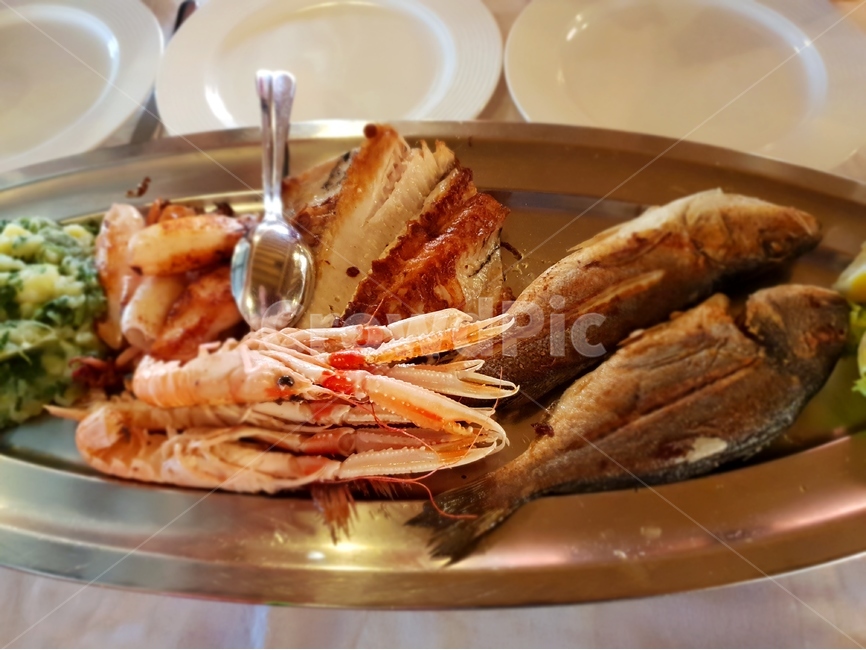 음식,요리,해물요리,해산물,바닷가음식,food,oceanfood,음식,식재료,요리,food,cook,meal,dishes,food reserves,수산물,해산물,fishery products,seafood,양식,서양음식,서양요리,western food,western dishes,western meal,western cook