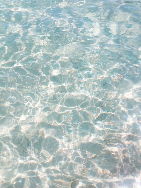 바다,맑은물,물투명,햇살,햇빛,깨끗한물,반짝임,윤슬,여름,계절,summer,season,water,물,outdoors,옥외,nature,자연