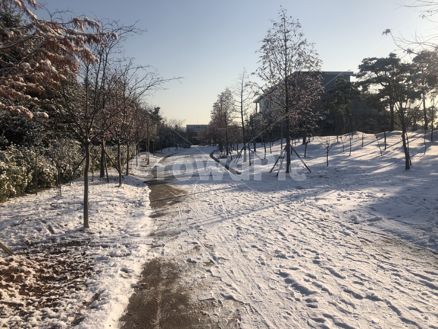 눈,풍경,겨울,snow,winter