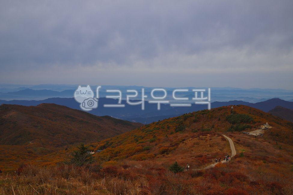 지리산, 노고단, 단풍, 산, 등산, 사진,이미지,일러스트,캘리그라피 - 비급영상공방작가