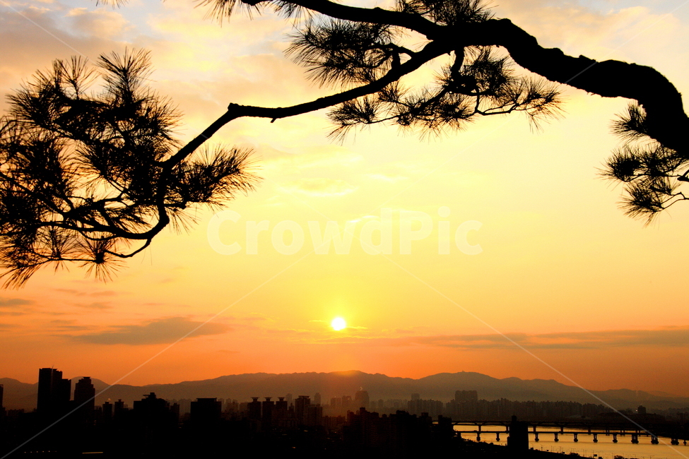강,호수,풍경,하늘,태양,도시,풍경,city,landscape,실루엣,그림자,silhouette,shadow,nature,자연,outdoors,옥외,sunlight,햇빛,sky,dusk,황혼,sunset,일몰,red sky,붉은 하늘,dawn,새벽