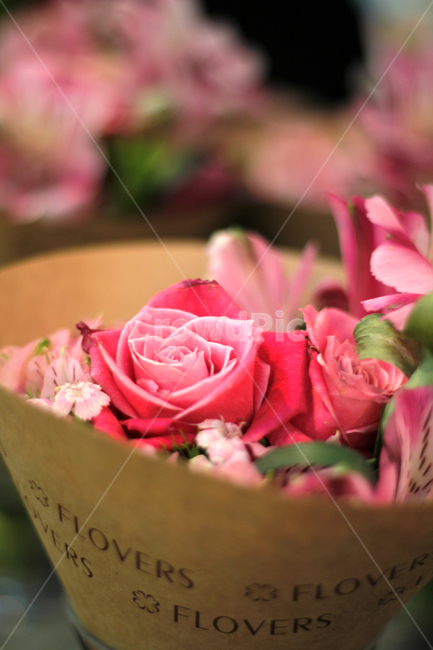 plant,식물,flower,blossom,꽃,rose,장미,flowerarrangement,꽃꽂이,flowerbouquet,꽃부케,꽃다발,분홍장미,薔薇,꽃,flower,기념일,축하,anniversary,congratulation,celebrate,celebration