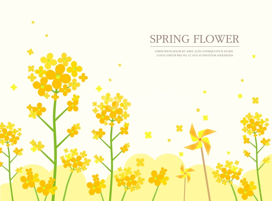 유채꽃,꽃,꽃밭,봄,바람개비,일러스트,배경,봄,계절,spring,season,꽃,flower,그래픽,일러스트레이션,graphic,illustration,art,미술,floral design,플로랄 디자인,pattern,무늬