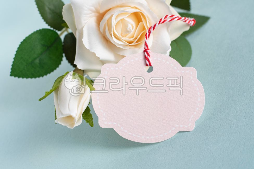 꽃다발,발렌타인,로맨스,낭만주의,분홍,초록,네이처,블로섬,봄,로즈,데코,나뭇잎,백,사랑,딱지,공백,격,고리,결혼,백장미,예쁘다,플라워,밝다,카피스페이스,선물,초,양초,장식품,품위,고급,택,상표,빈공간,여백,명품,우아,휴가,생활방식,인테리어,소품,디자인,호화로움,영감,장미,rose,식물,flower,꽃,blossom,목업,택목업