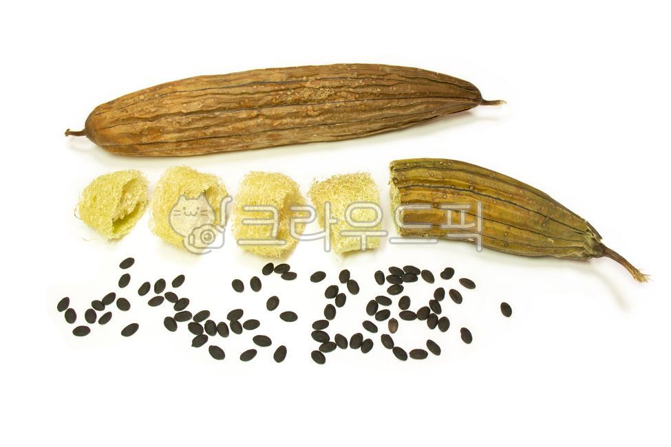 kitchen scrubber,loofah fruit,Success,eco,environmentallyfriendly,medicinal herbs,kitchen utensils,medicinal crops,environmental,natural,seeds,Environmentally friendly,Ecofriendly scrubber,dry,edibility,thin,Cheonra,loofah seeds,Seed,plant,environmentally